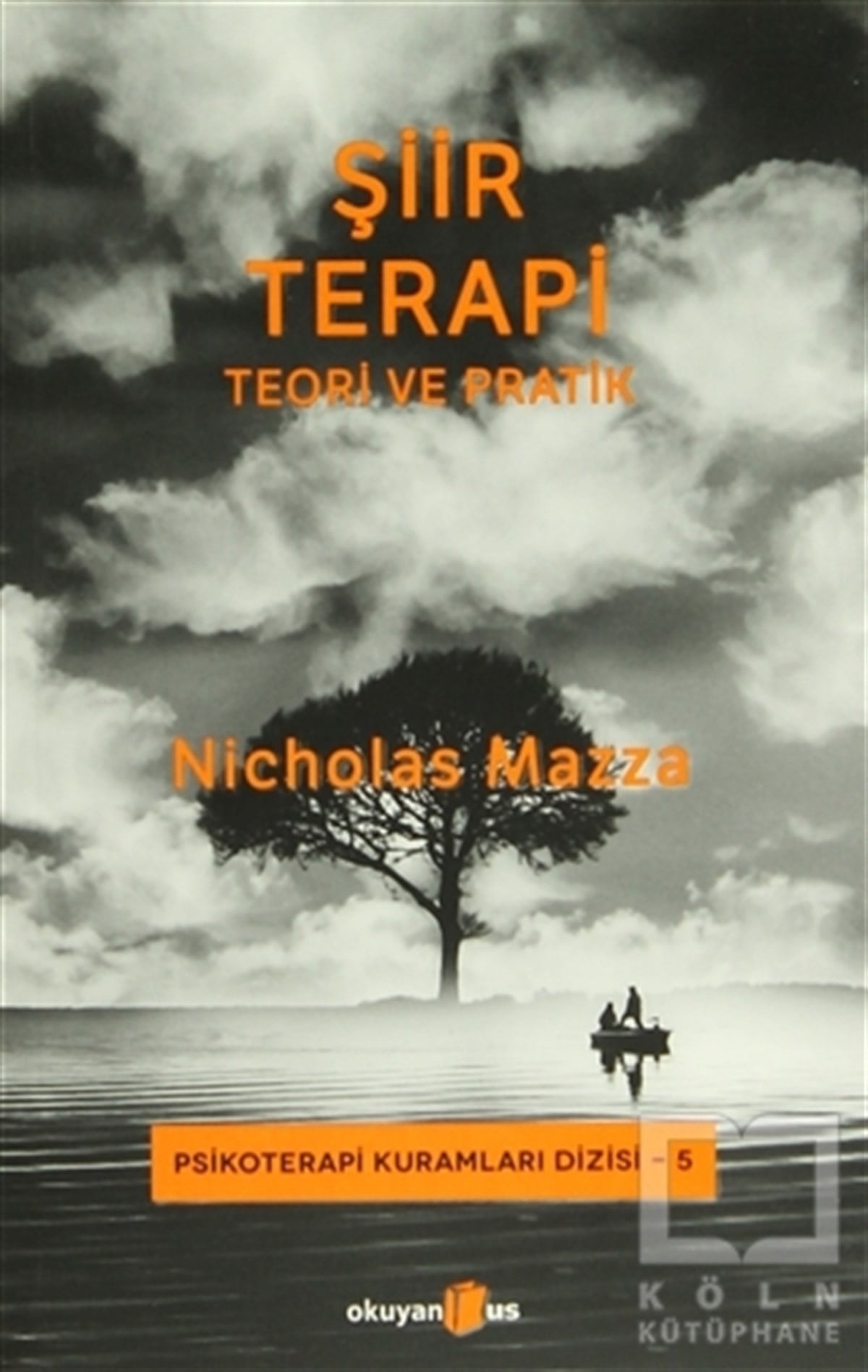 Nicholas MazzaDiğerŞiir Terapi - Teori ve Pratik