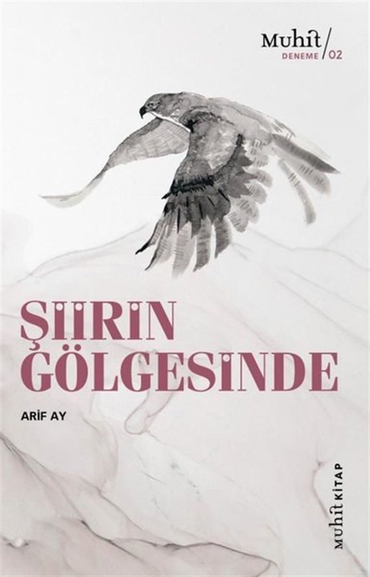 Arif AyTürk ŞiiriŞiirin Gölgesinde