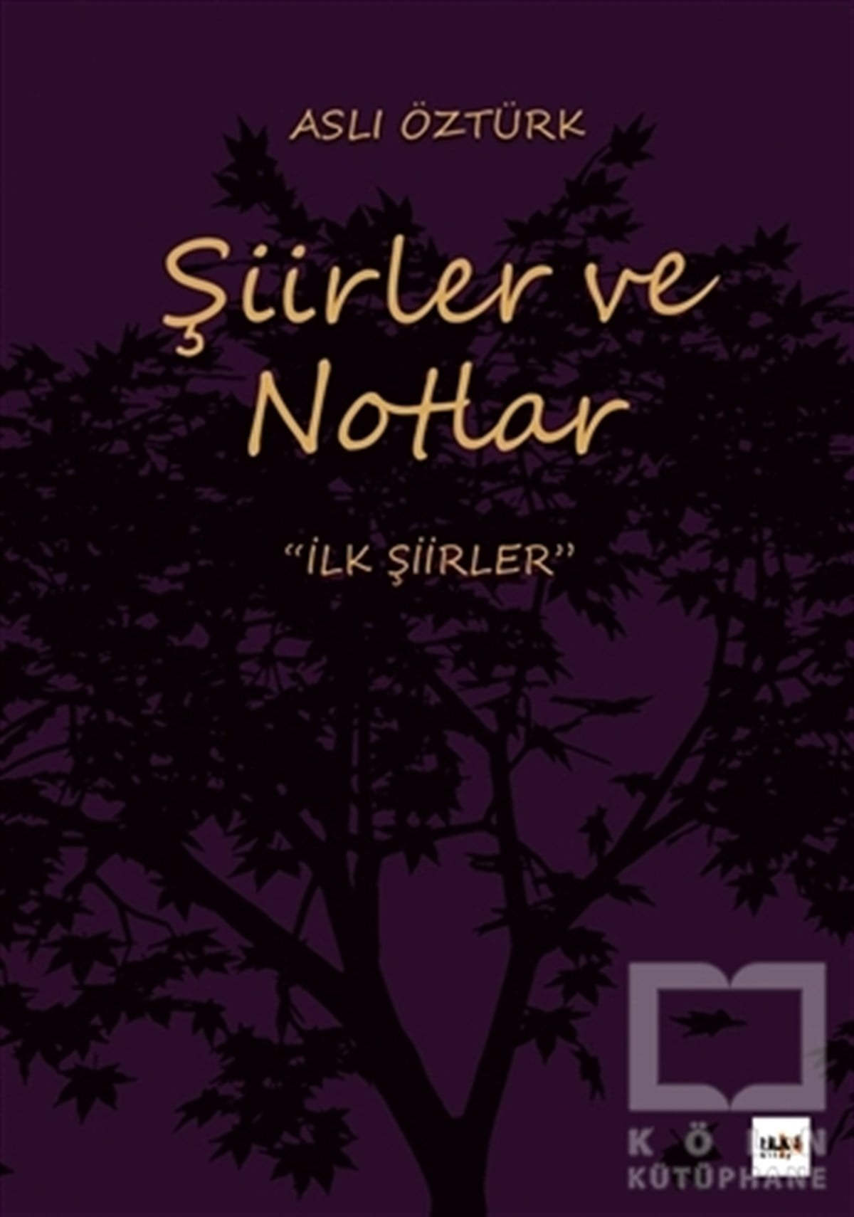 Aslı ÖztürkTürkçe Şiir KitaplarıŞiirler ve Notlar