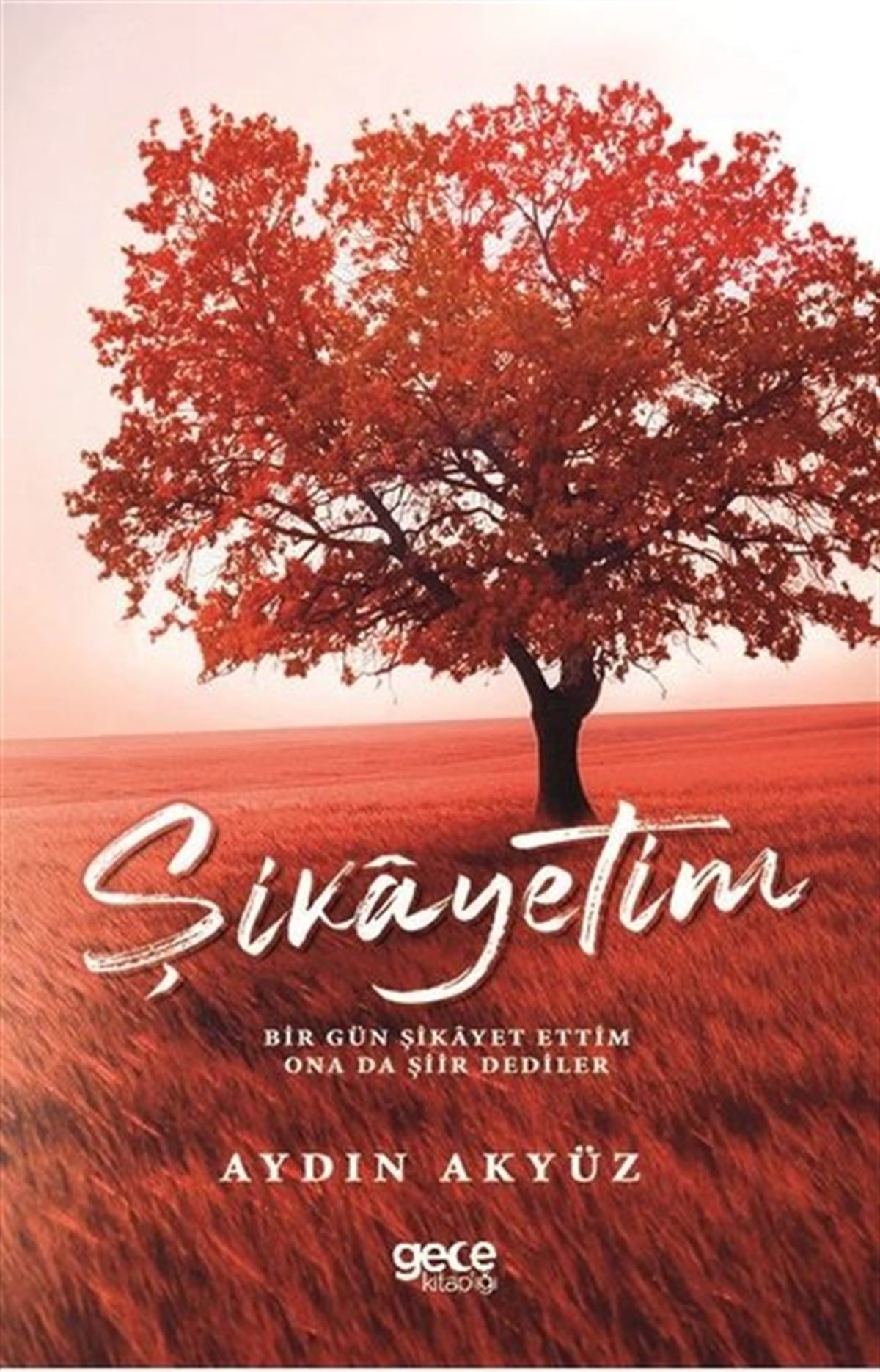 Aydın AkyüzTürk ŞiiriŞikayetim