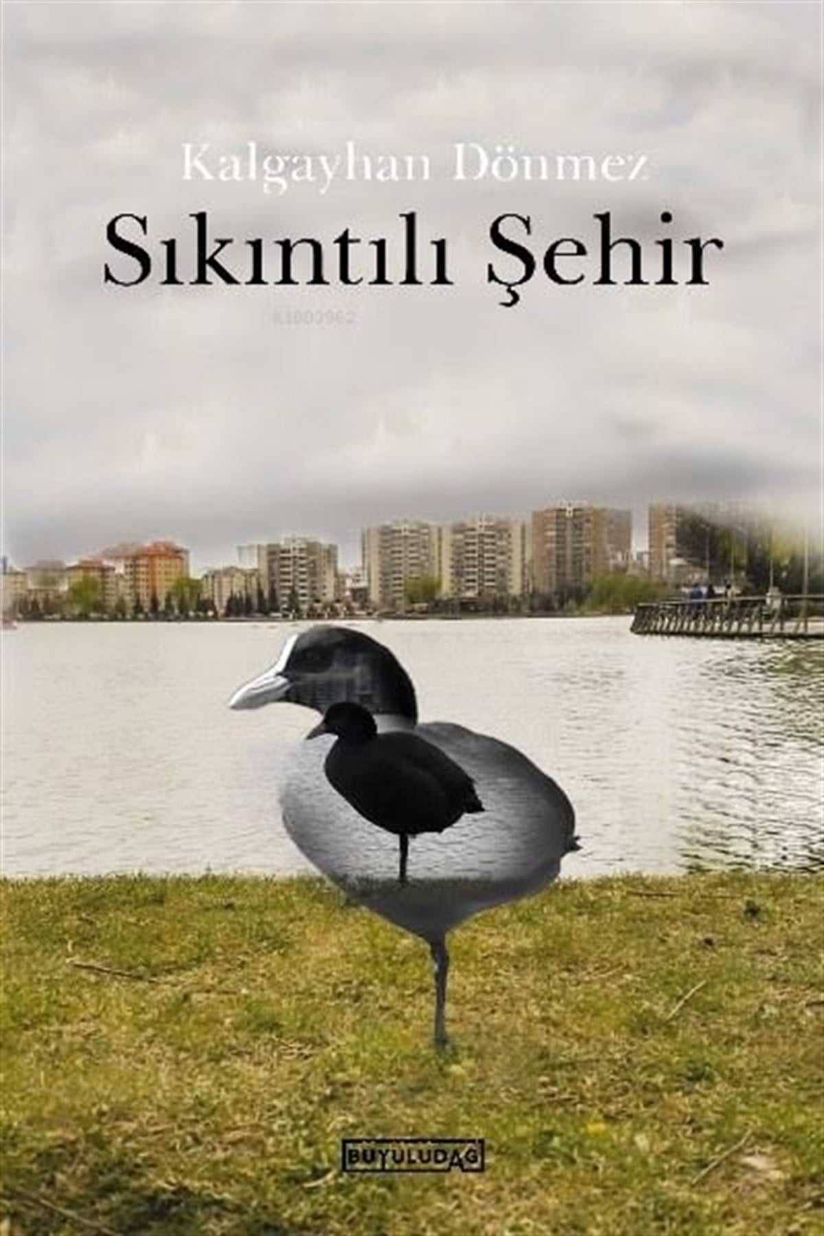 Kalgayhan DönmezTürkiye RomanSıkıntılı Şehir