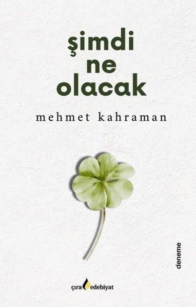 Mehmet KahramanDeneme KitaplarıŞimdi Ne Olacak