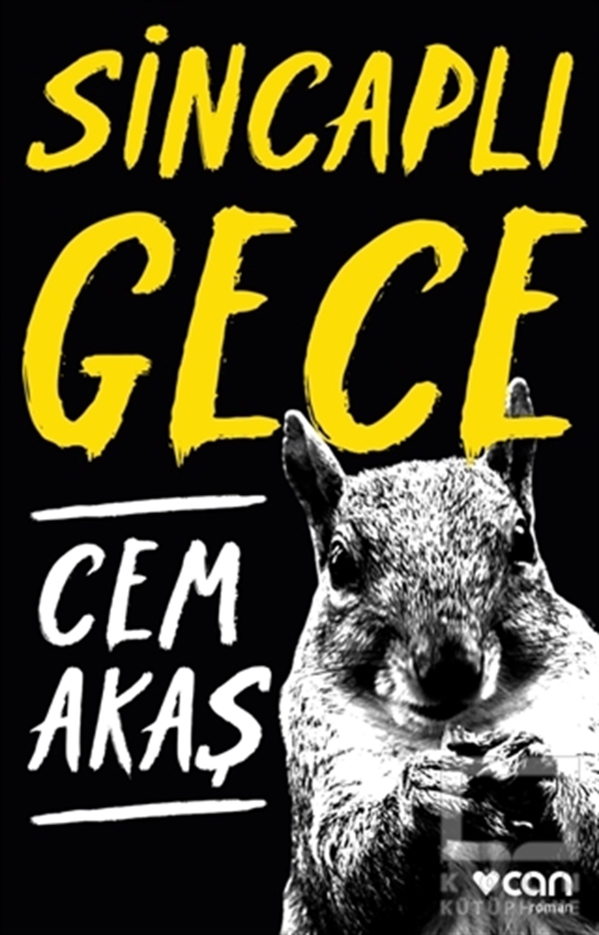Cem AkaşRomanSincaplı Gece