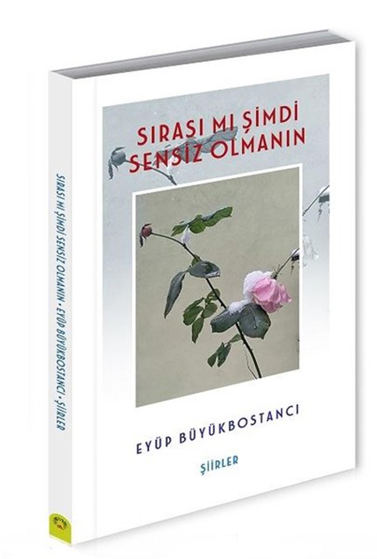 Eyüp BüyükbostancıTürk ŞiiriSırası mı Şimdi Sensiz Olmanın