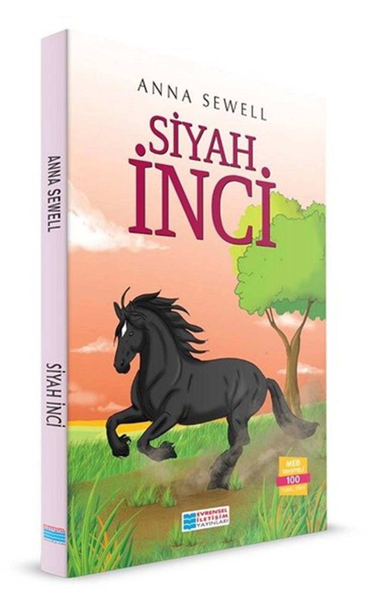 Anna SewellKlasik Çocuk KitaplarıSiyah İnci
