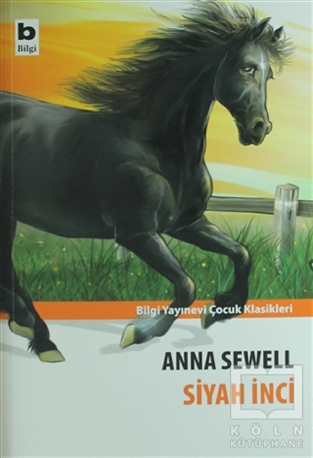 Anna SewellRomanSiyah İnci