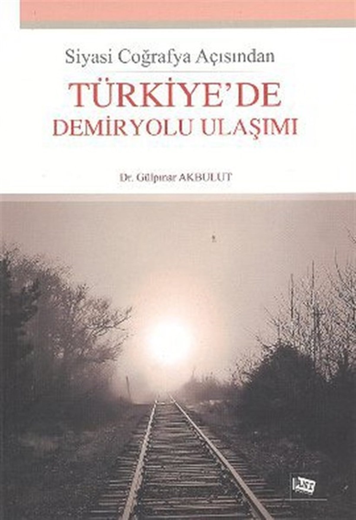 Gamze ŞahinAile - ÇocukSiyasi Coğrafya Açısından Türkiye'de Demiryolu Ulaşımı
