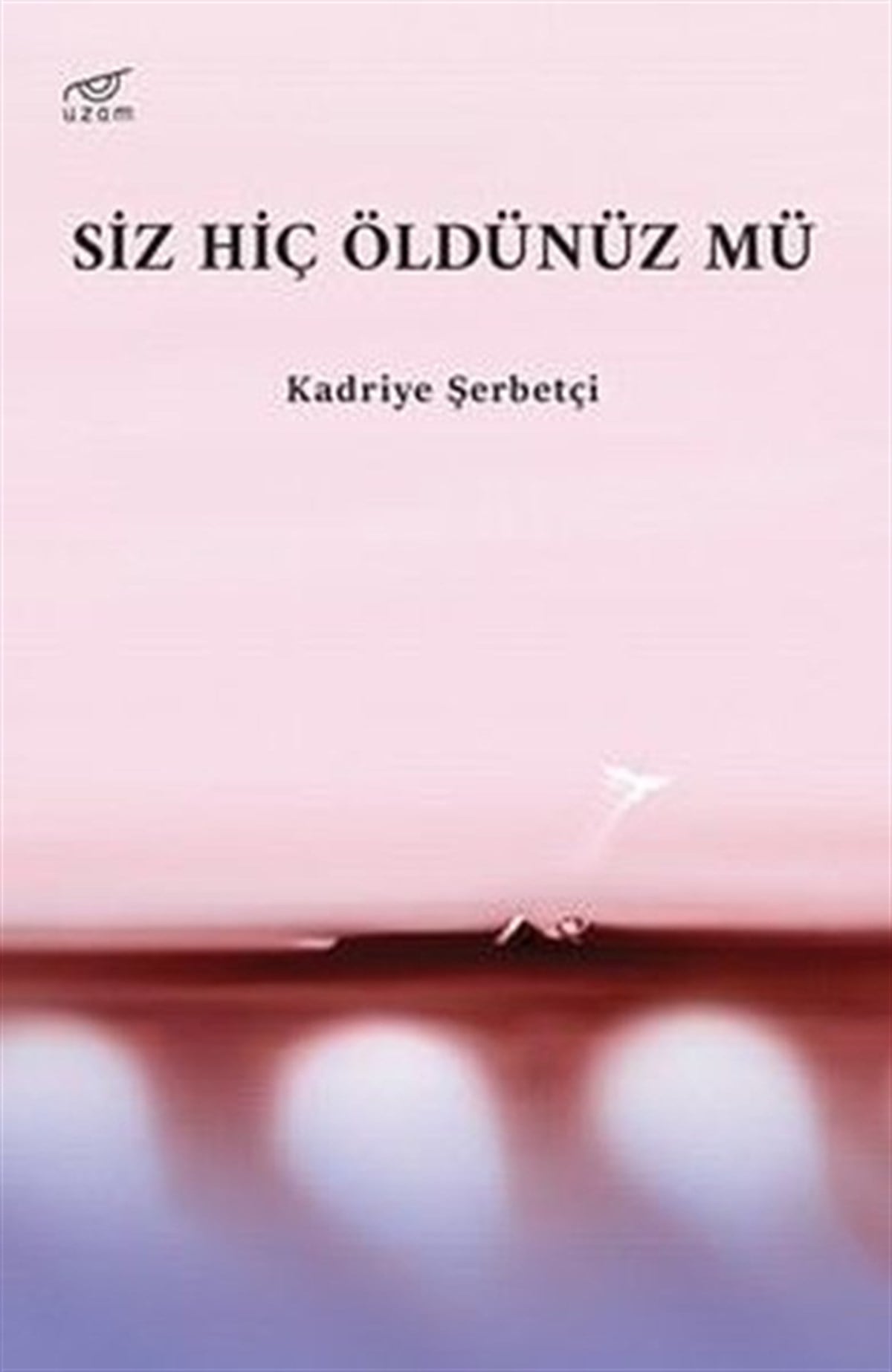 Kadriye ŞerbetçiTürkiye RomanSiz Hiç Öldünüz mü