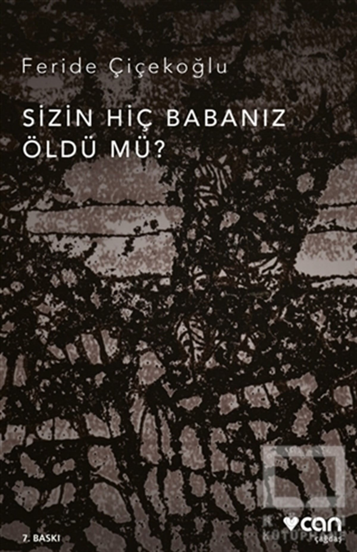 Feride ÇiçekoğluHikaye (Öykü) KitaplarıSizin Hiç Babanız Öldü mü?