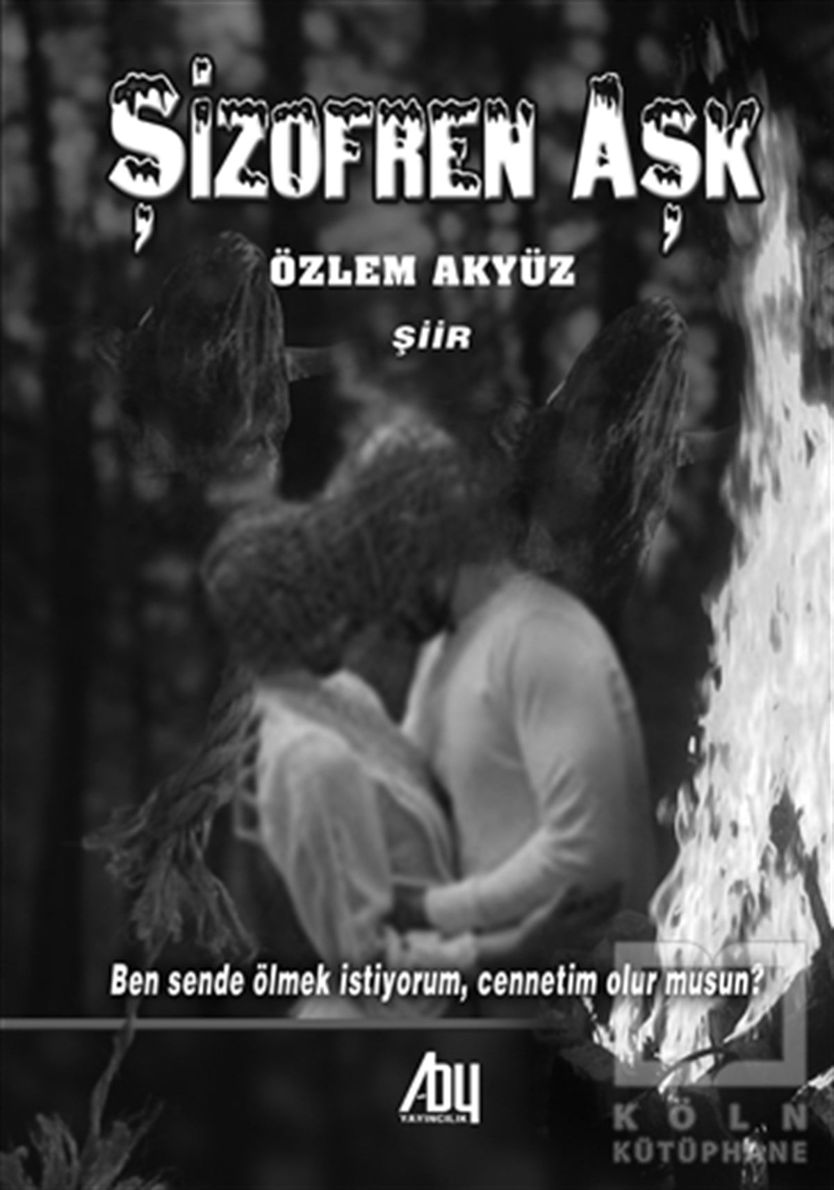 Özlem AkyüzŞiirŞizofren Aşk