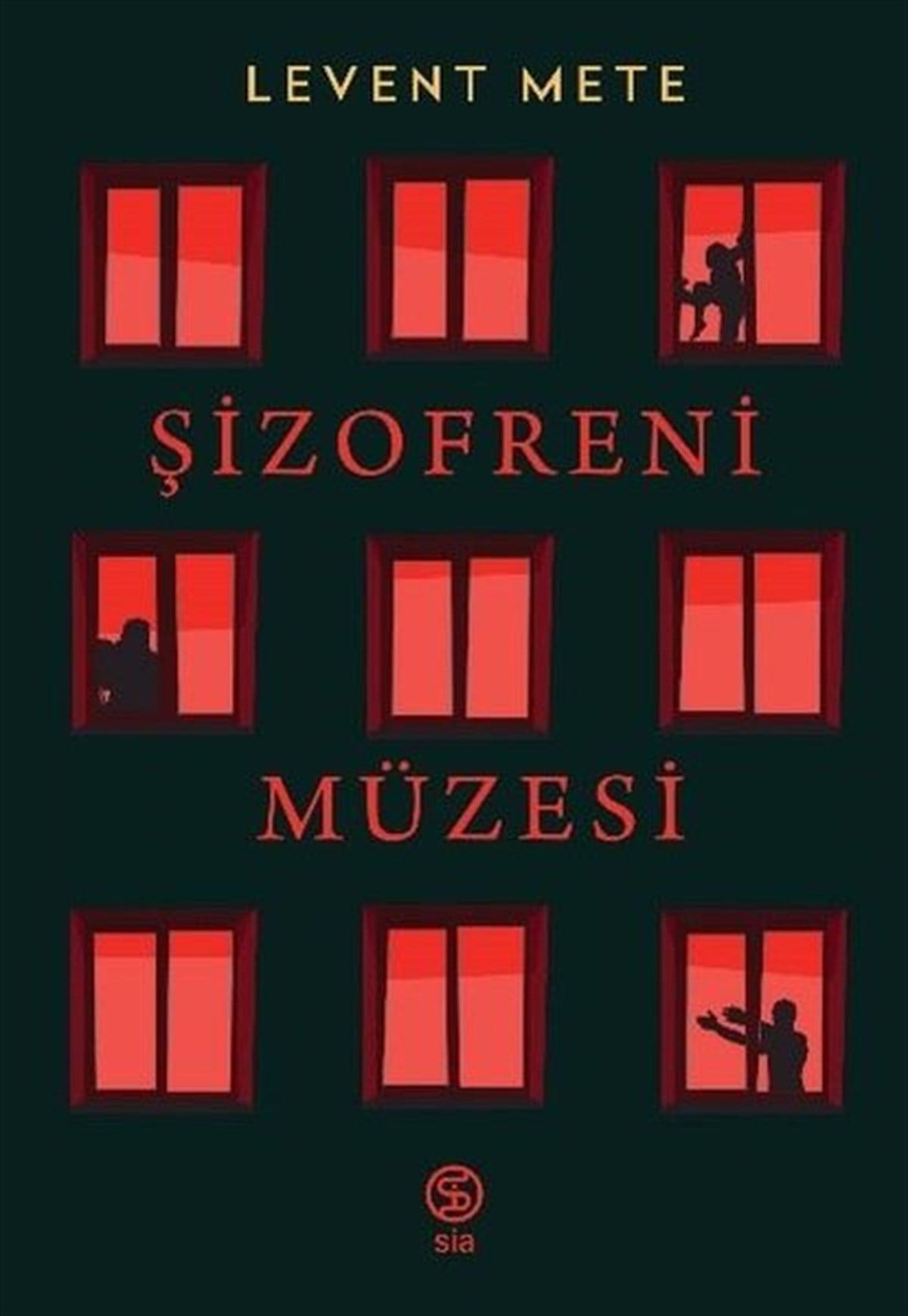 Levent MeteTürkiye RomanŞizofreni Müzesi