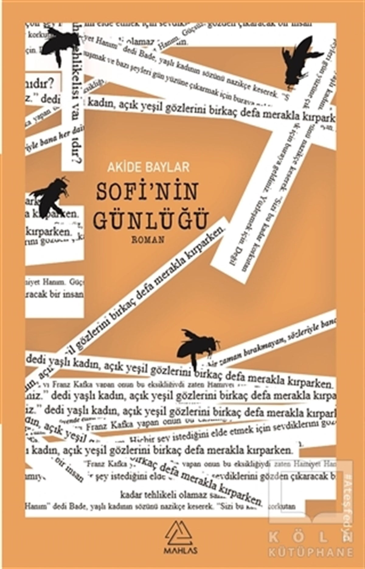 Akide BaylarTürkçe RomanlarSofi'nin Günlüğü