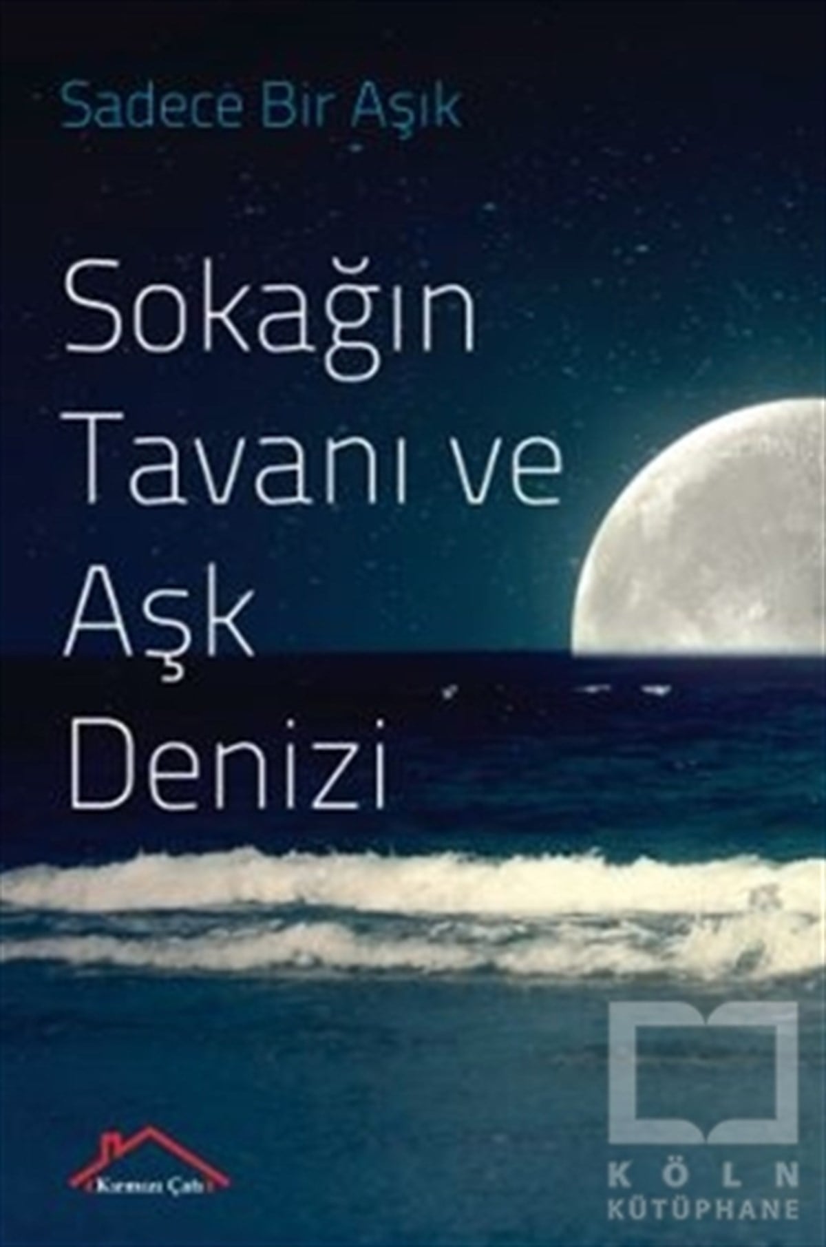 KolektifDeneme KitaplarıSokağın Tavanı ve Aşk Denizi