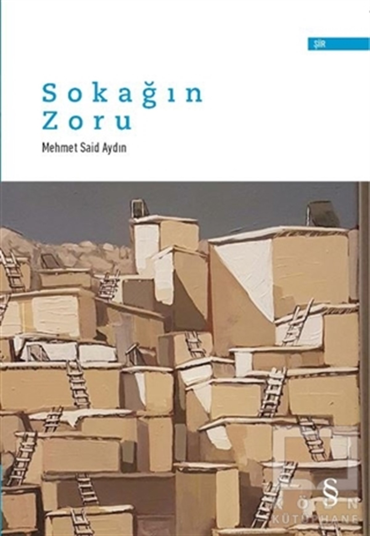 Mehmet Said AydınŞiirSokağın Zoru