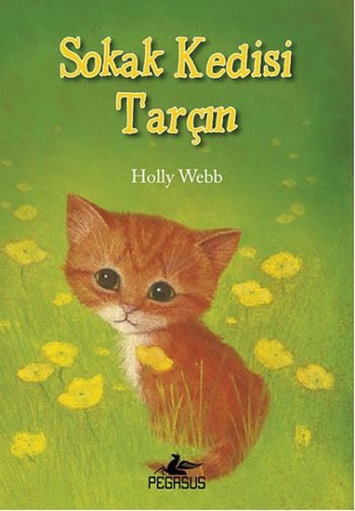 Holly WebbÇocuk Masal KitaplarıSokak Kedisi Tarçın
