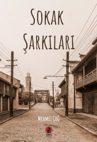 Mehmet ÇoğTürkiye RomanSokak Şarkıları
