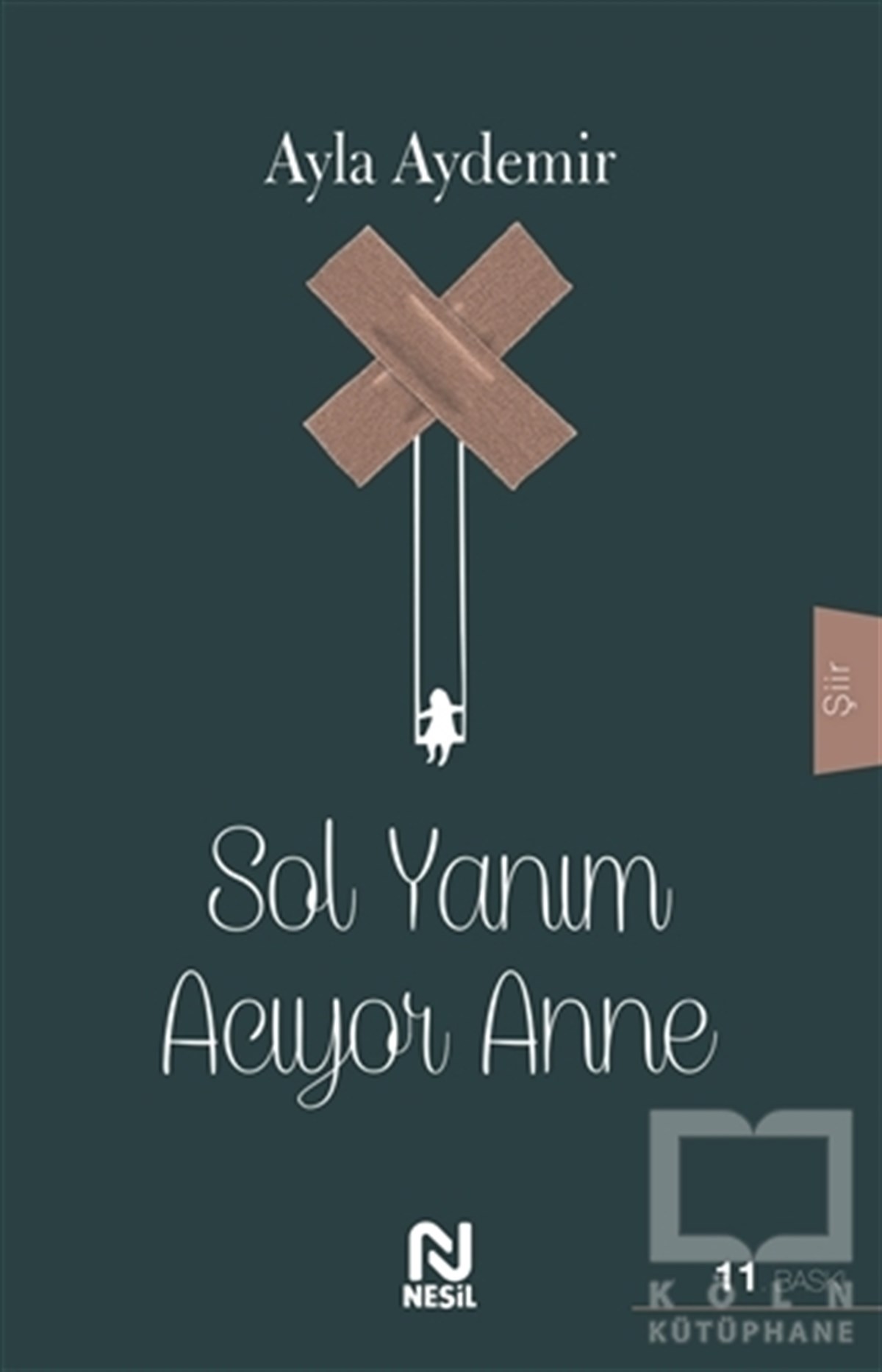 Ayla AydemirTürkçe Şiir KitaplarıSol Yanım Acıyor Anne