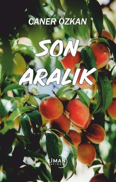Caner ÖzkanTürk ŞiiriSon Aralık