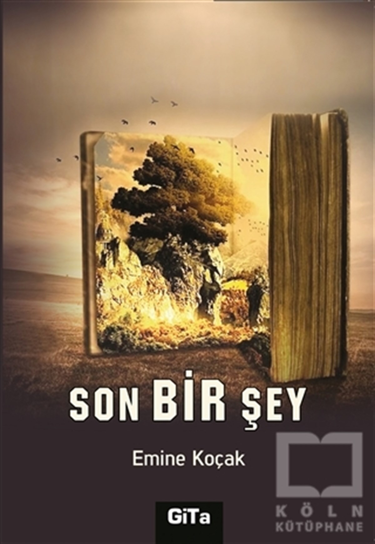 Emine KoçakTürkçe RomanlarSon Bir Şey