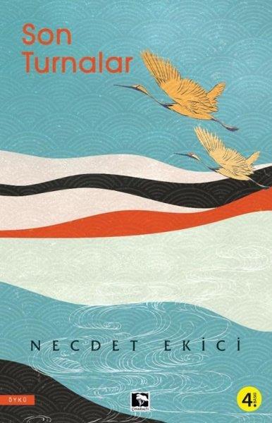 Necdet EkiciHikaye (Öykü) KitaplarıSon Turnalar