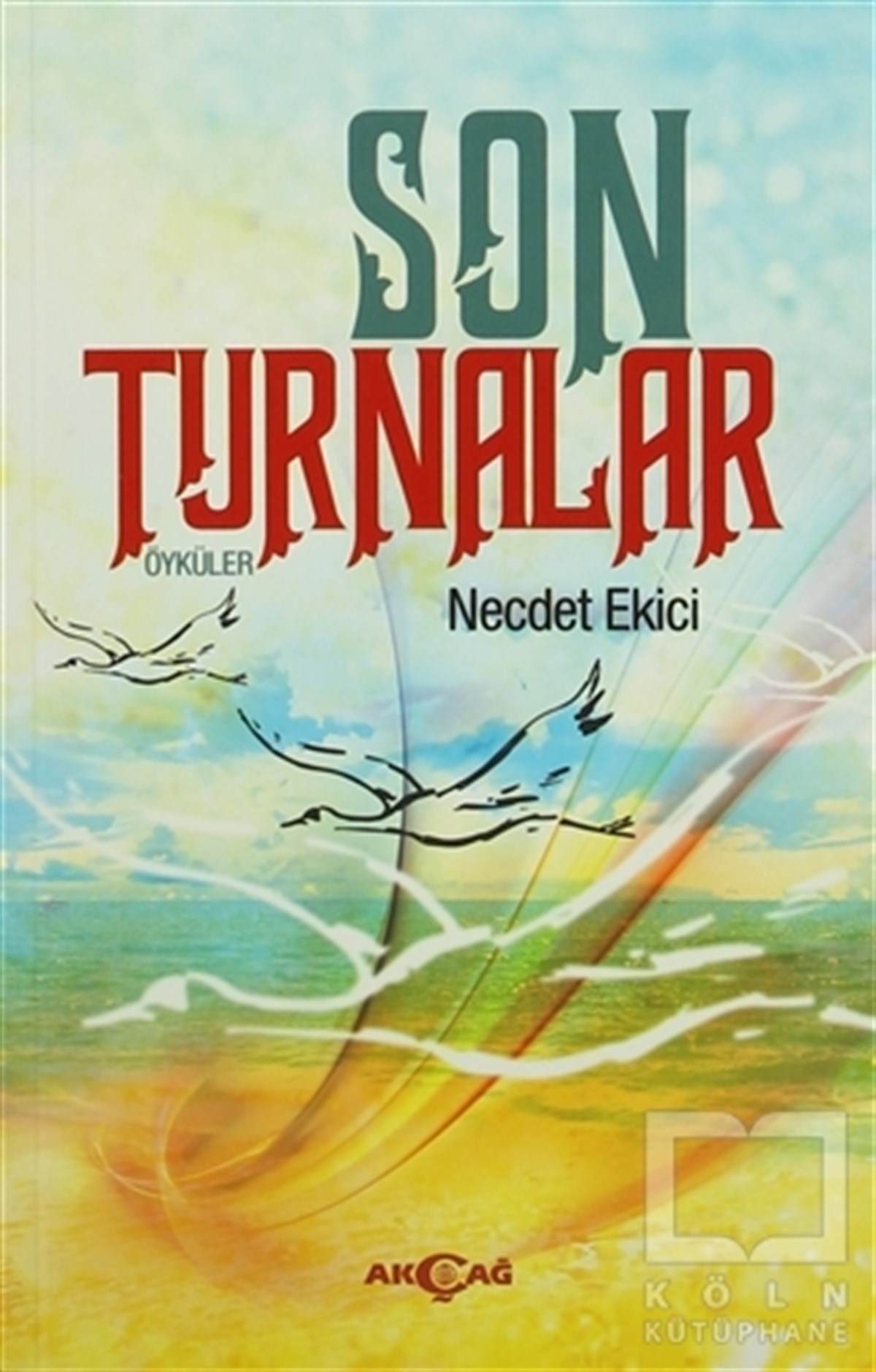 Necdet EkiciÖyküSon Turnalar