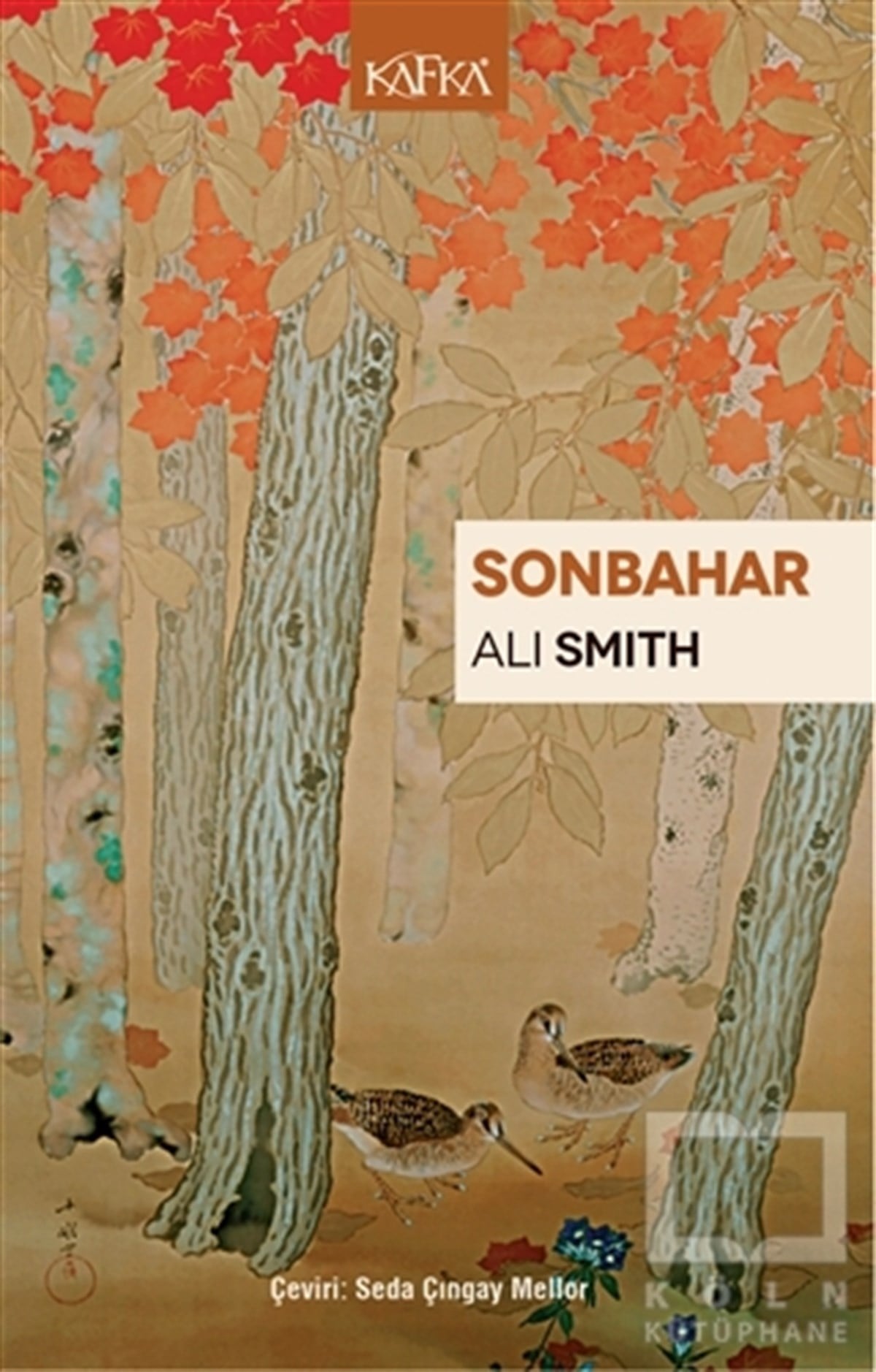 Ali SmithTürkçe RomanlarSonbahar