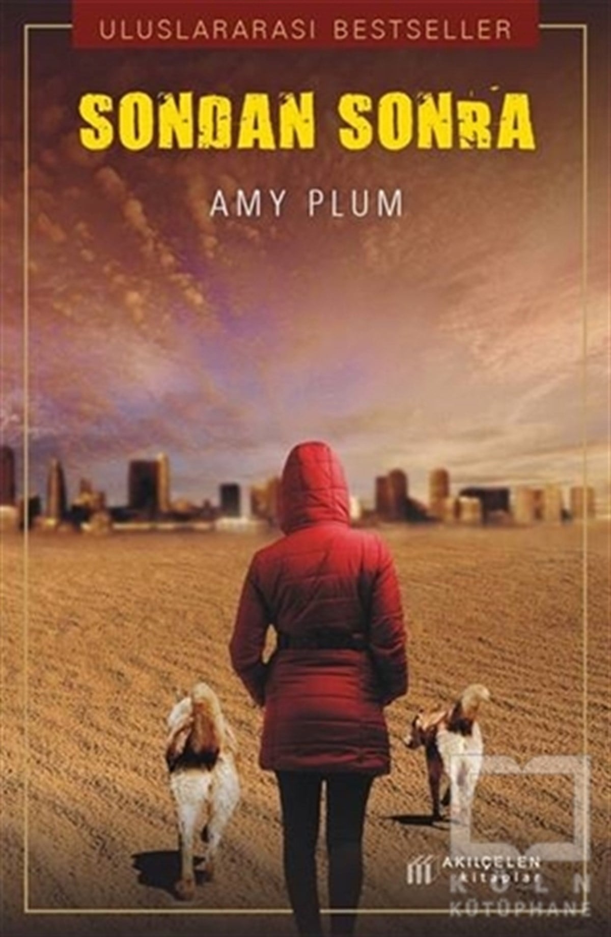 Amy PlumRomanSondan Sonra