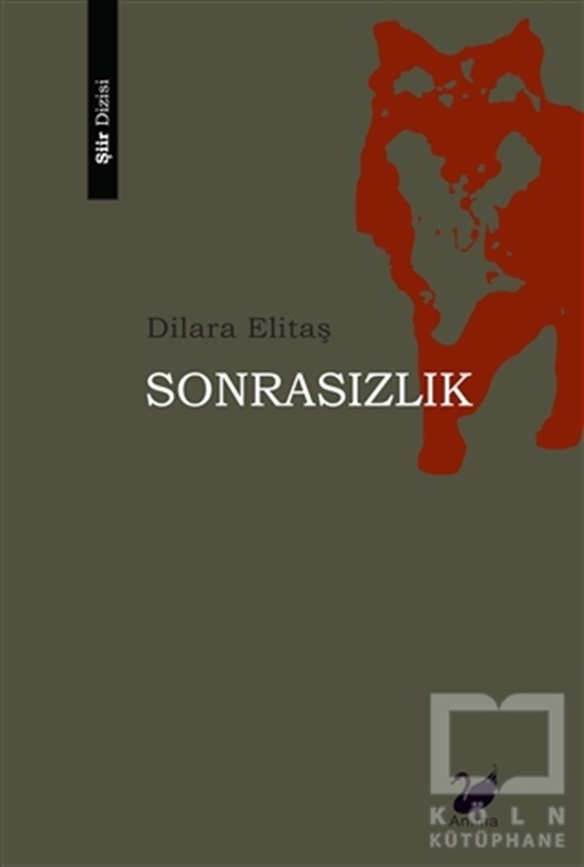 Dilara ElitaşŞiirSonrasızlık