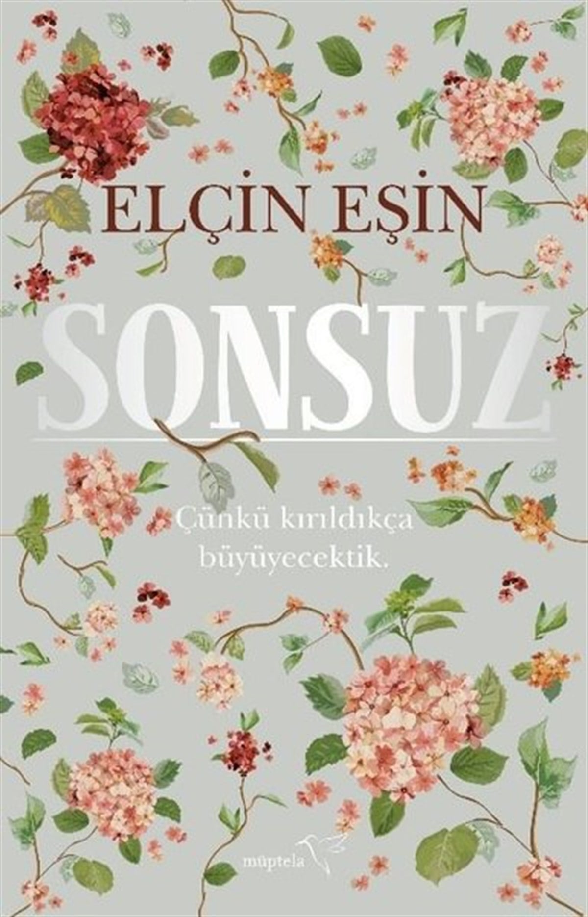 Elçin EşinTürkiye RomanSonsuz