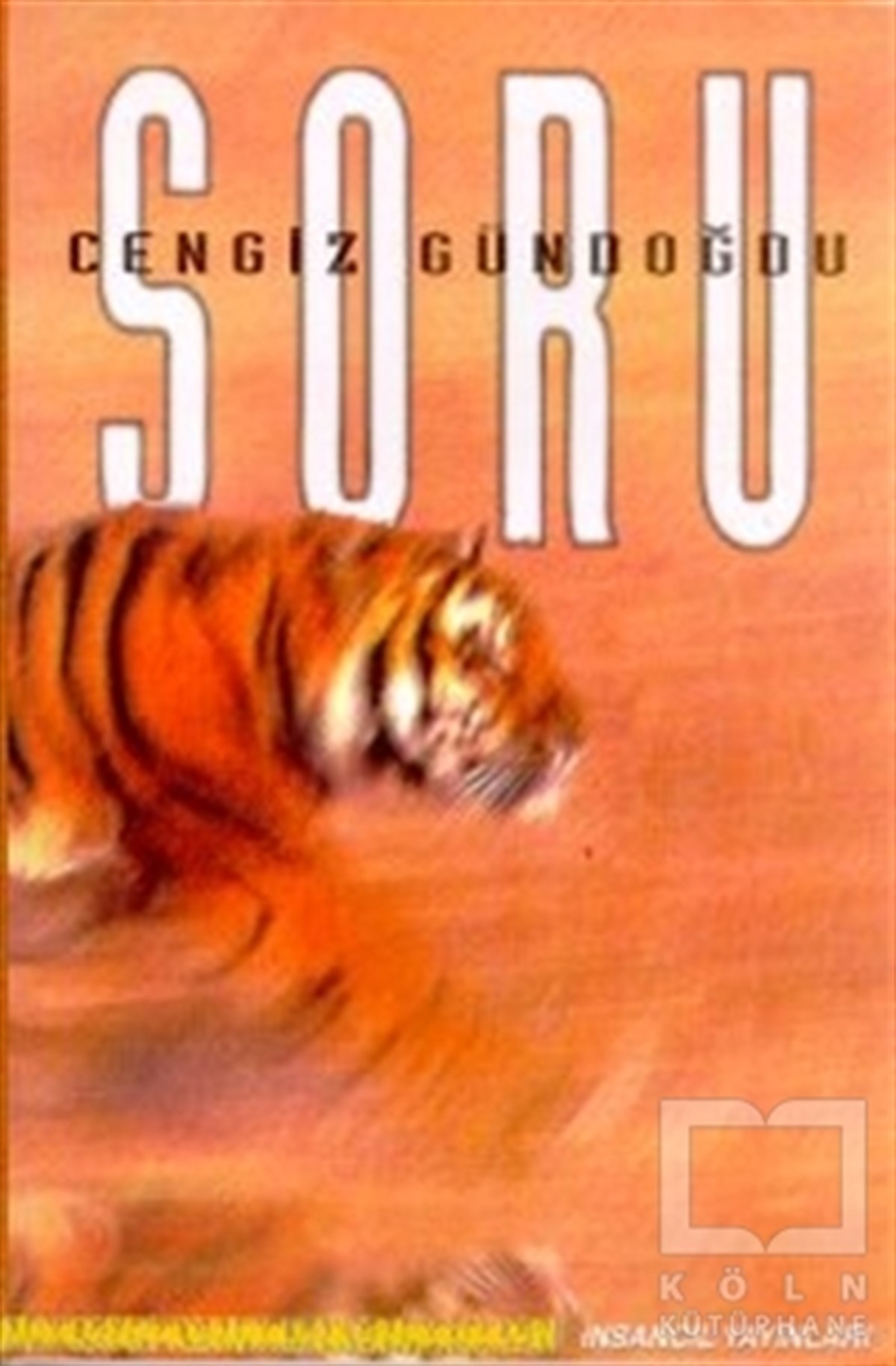 Cengiz GündoğduEleştiri, İnceleme, KuramSoru