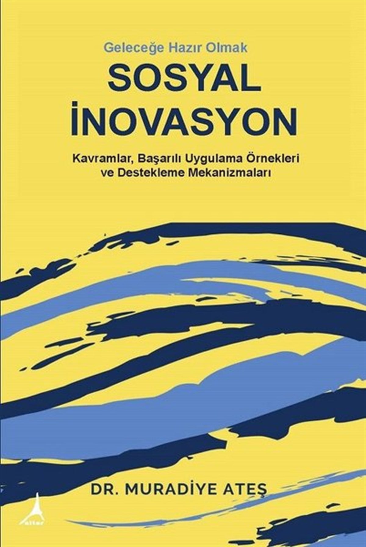 Muradiye AteşSosyal Bilimler KitaplarıSosyal İnovasyon