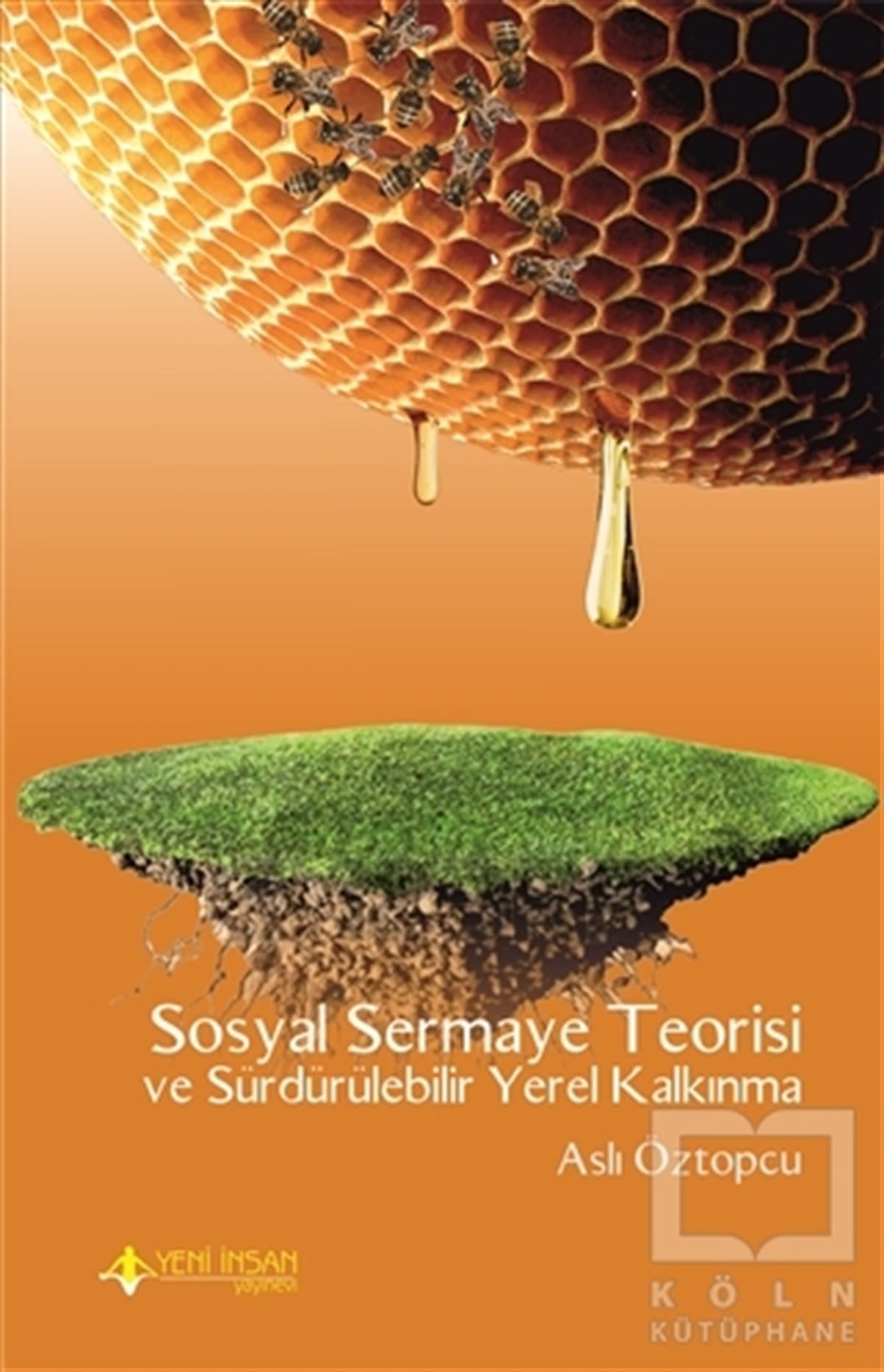 Aslı ÖztopcuDiğerSosyal Sermaye Teorisi ve Sürdürülebilir Yerel Kalkınma
