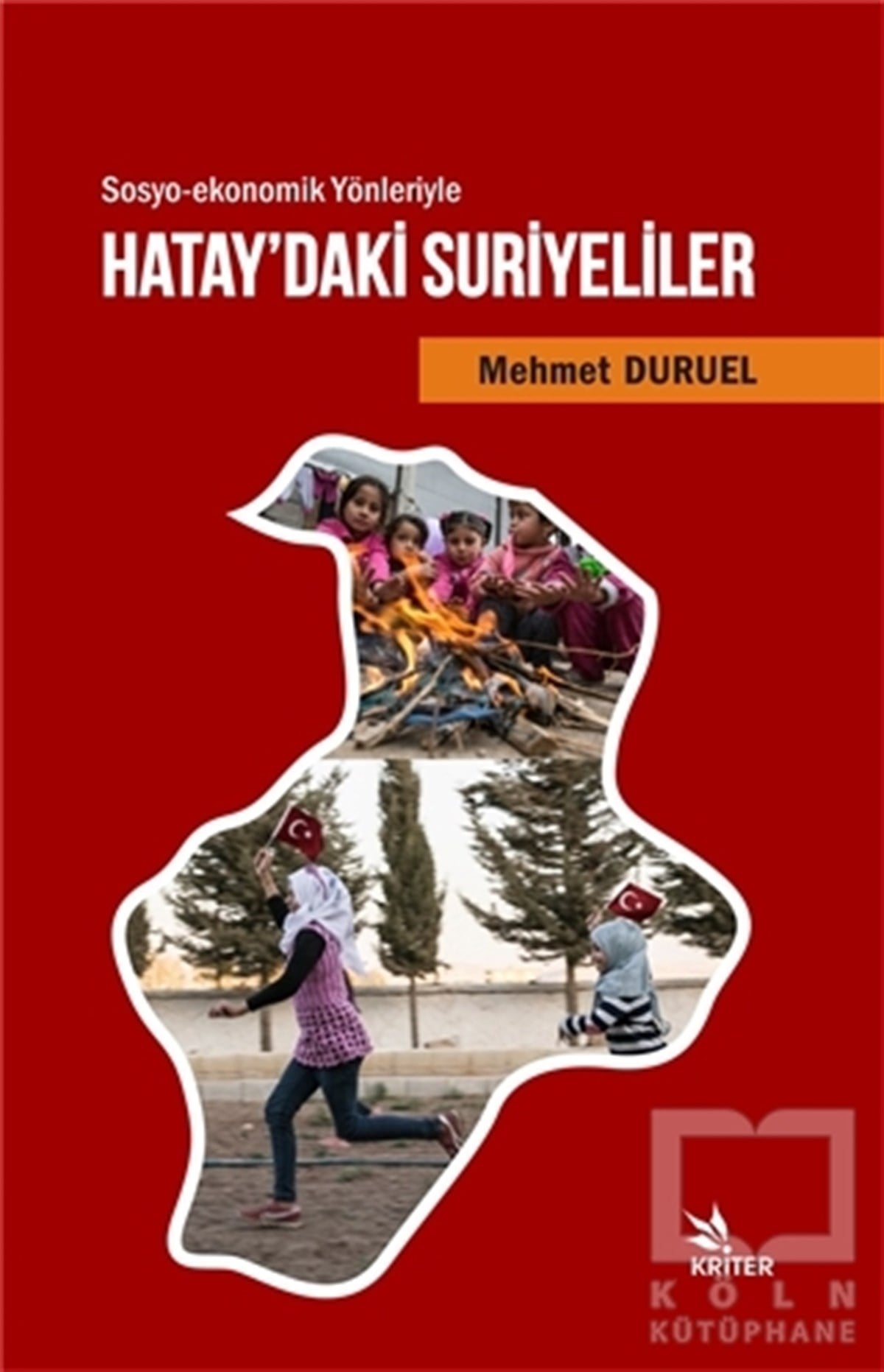 Mehmet DuruelDiğerSosyo-ekonomik Yönleriyle Hatay'daki Suriyeliler