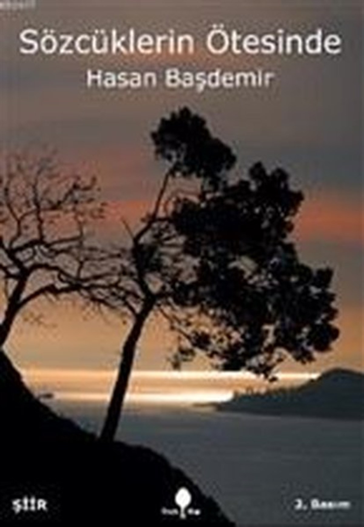 Hasan BaşdemirTürk ŞiiriSözcüklerin Ötesinde