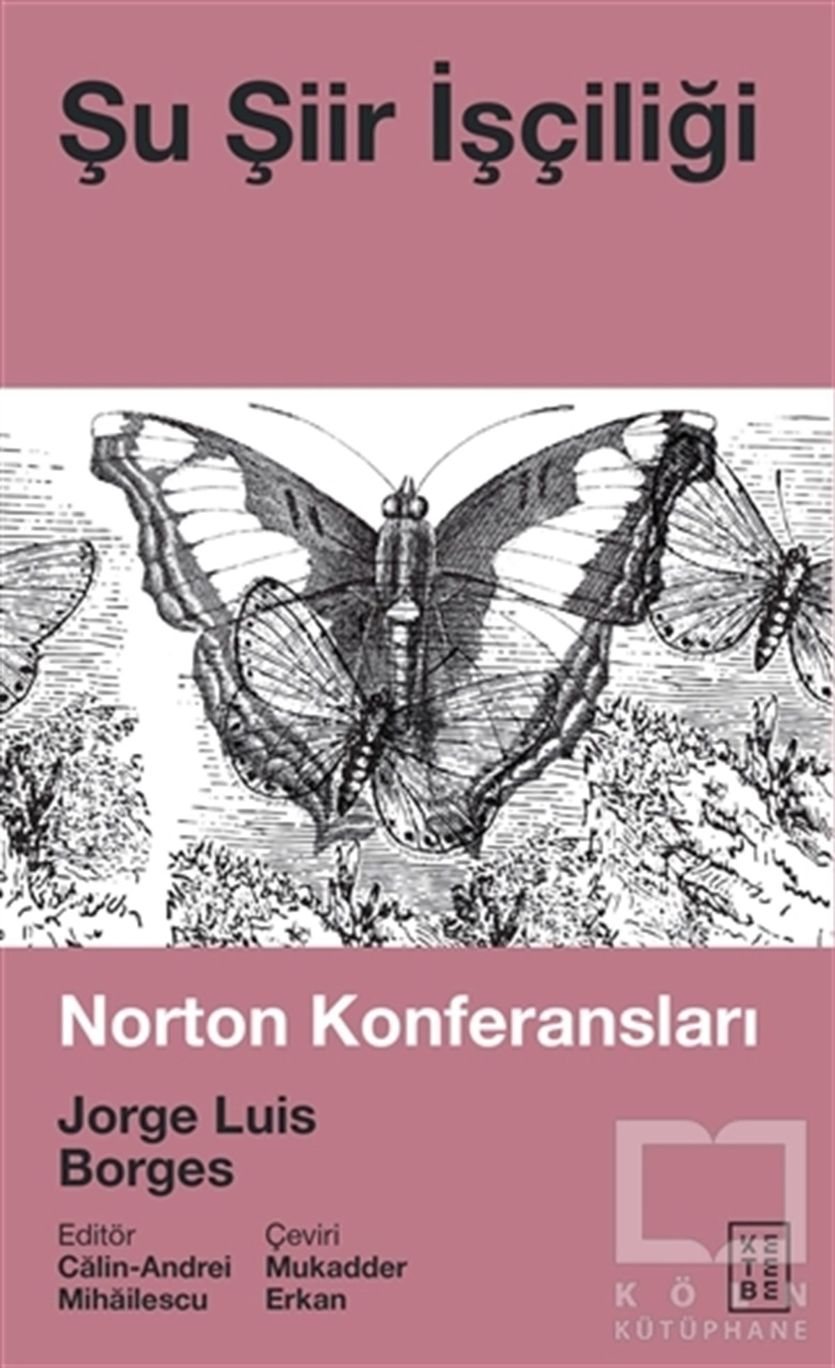 Jorge Luis BorgesAraştırma-İnceleme-ReferansŞu Şiir İşçiliği