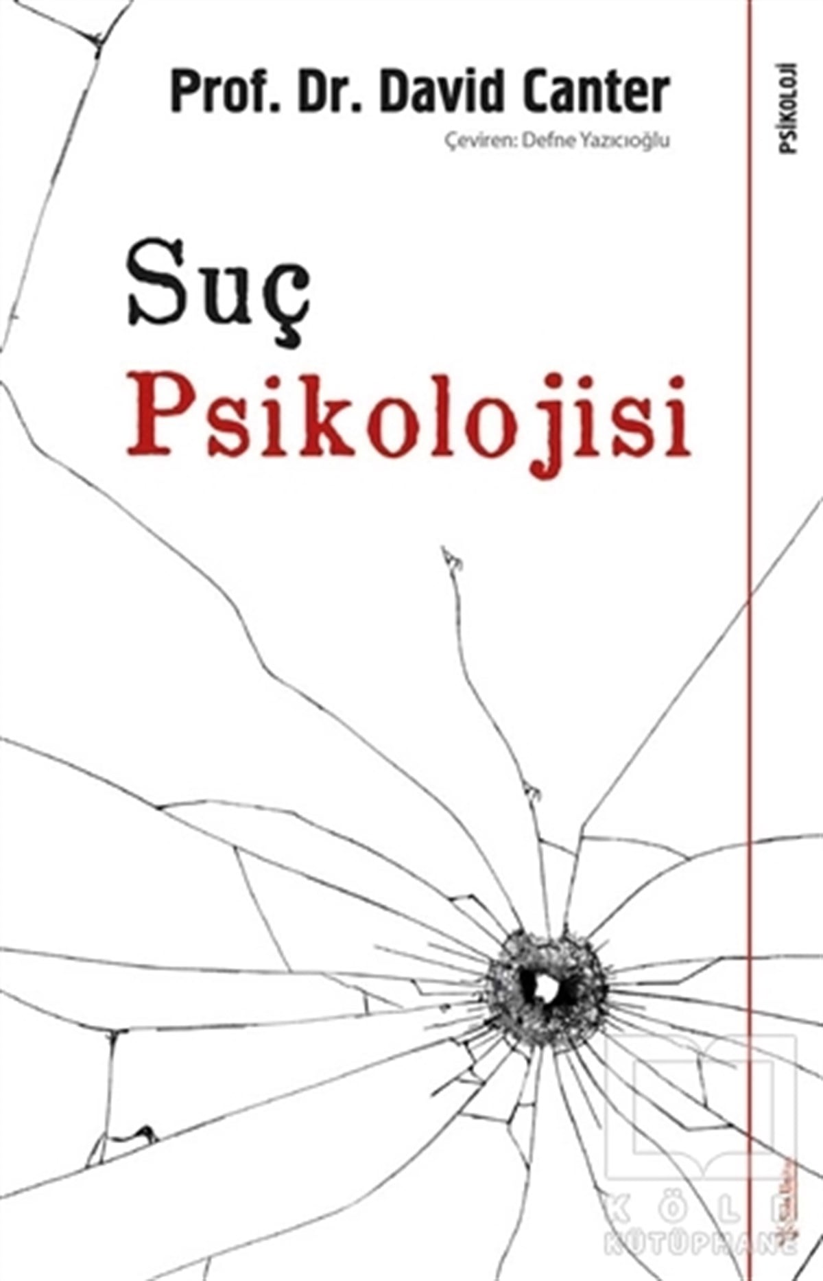 David CanterGenel Psikoloji KitaplarıSuç Psikolojisi