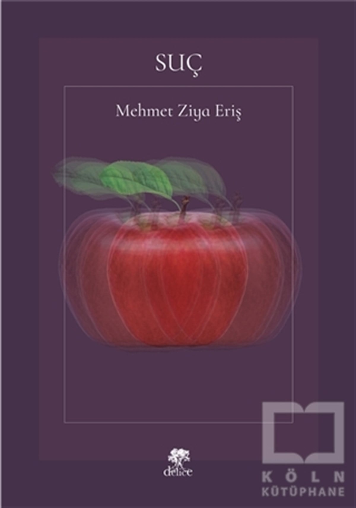 Mehmet Ziya ErişTürkçe RomanlarSuç