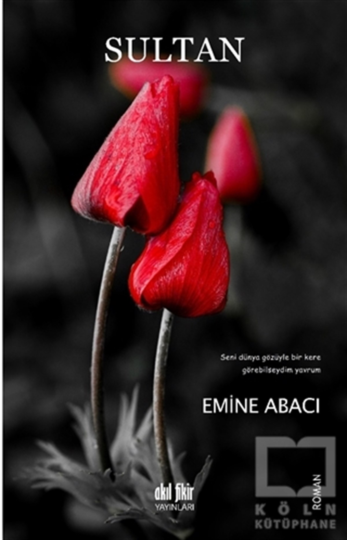 Emine AbacıTürkçe RomanlarSultan