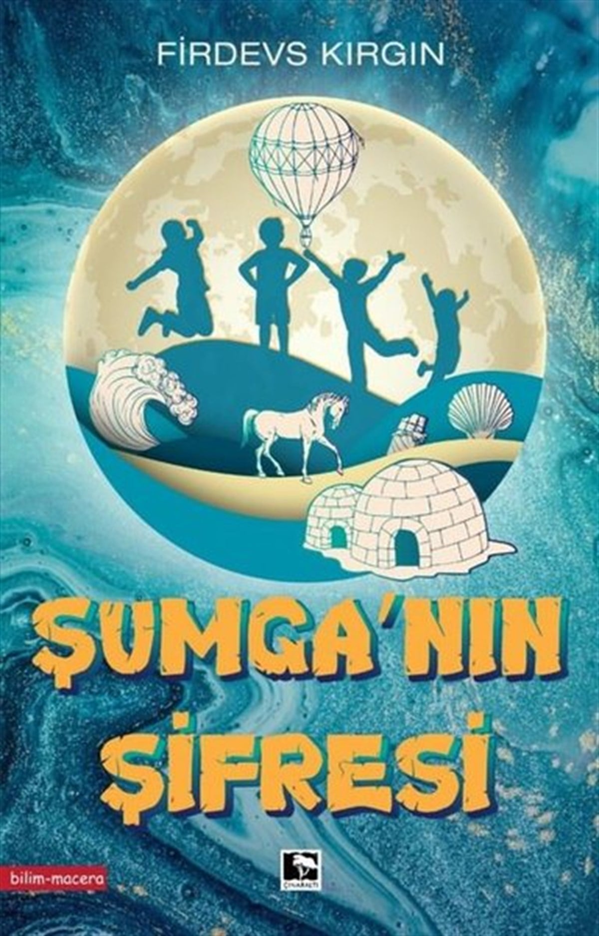 Firdevs KırgınAksiyon Kitapları & Macera KitaplarıŞumga'nın Şifresi