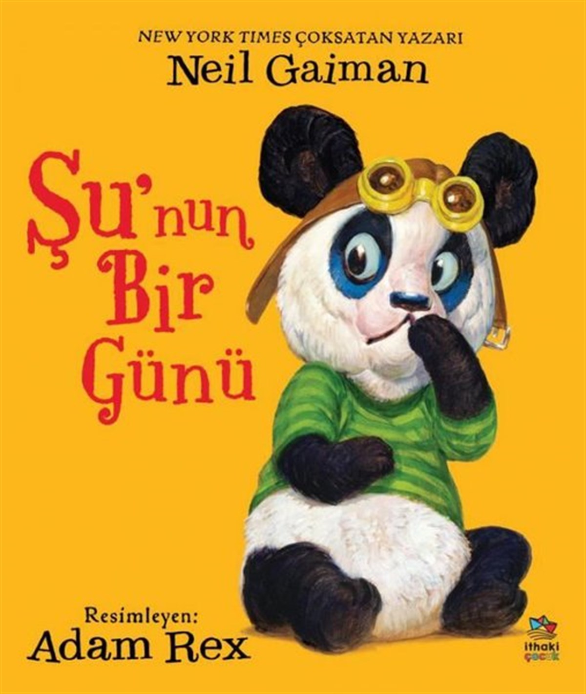 Neil GaimanEgitim Etkinlik KitaplariŞu'nun Bir Günü