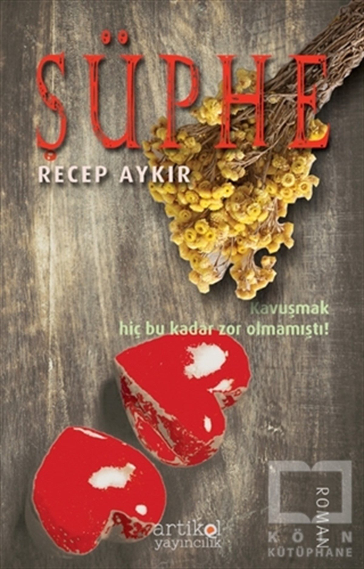 Recep AykırRomanŞüphe