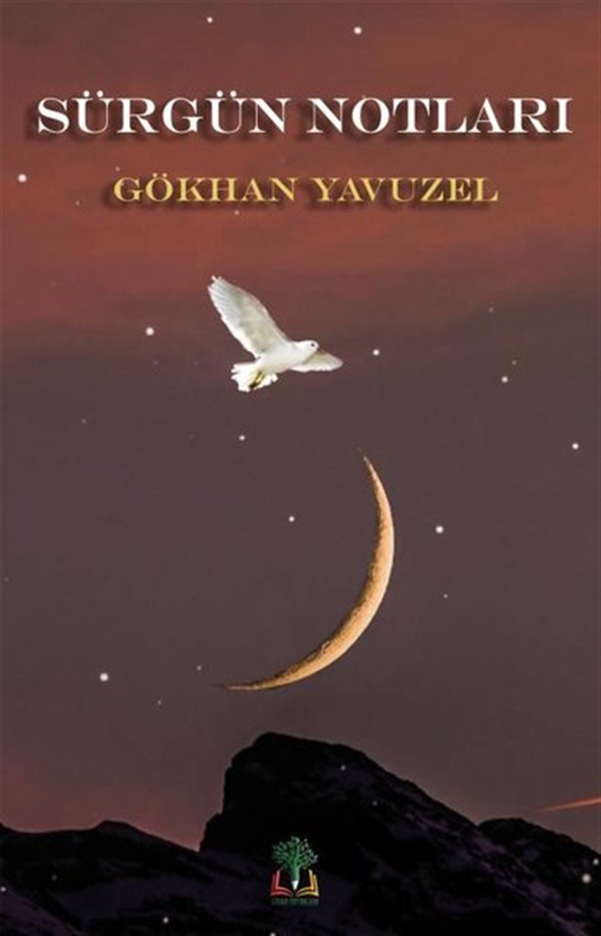 Gökhan YavuzelAnı & Mektup & Günlük KitaplarıSürgün Notları