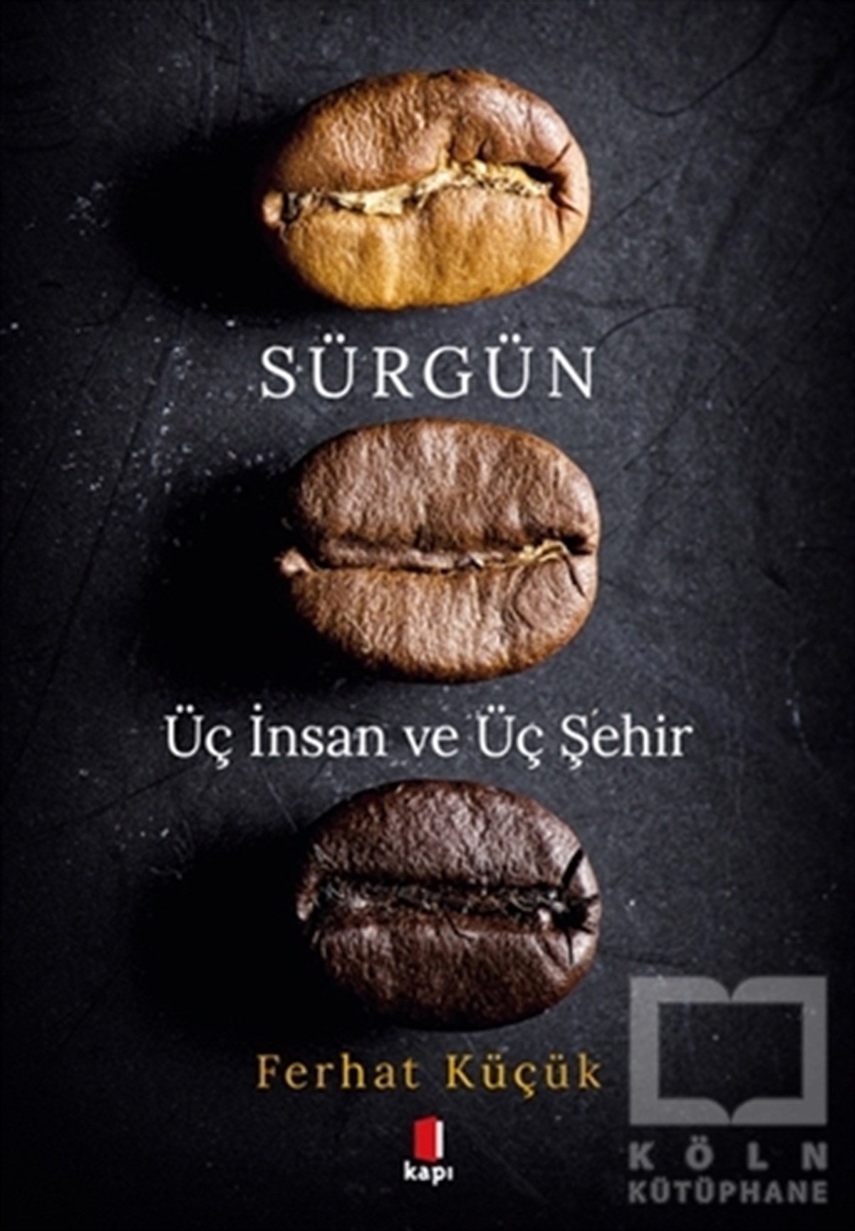 Ferhat KüçükTürkçe RomanlarSürgün