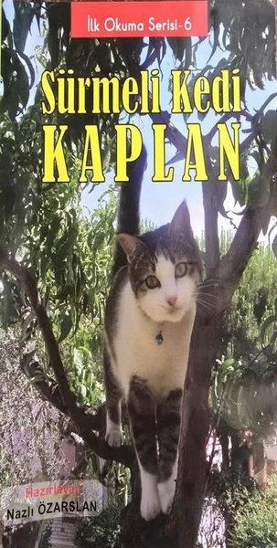 Zübeyt BozkurtEgitim Etkinlik KitaplariSürmeli Kedi Kaplan - İlk Okuma Serisi 6