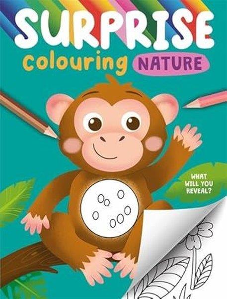 KolektifPreschoolSurprise Colouring Nature