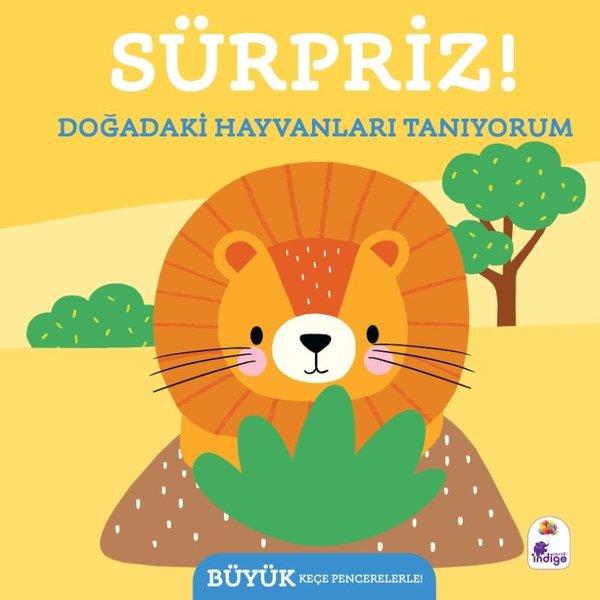 KolektifEgitim Etkinlik KitaplariSürpriz! Doğadaki  Hayvanları Tanıyorum
