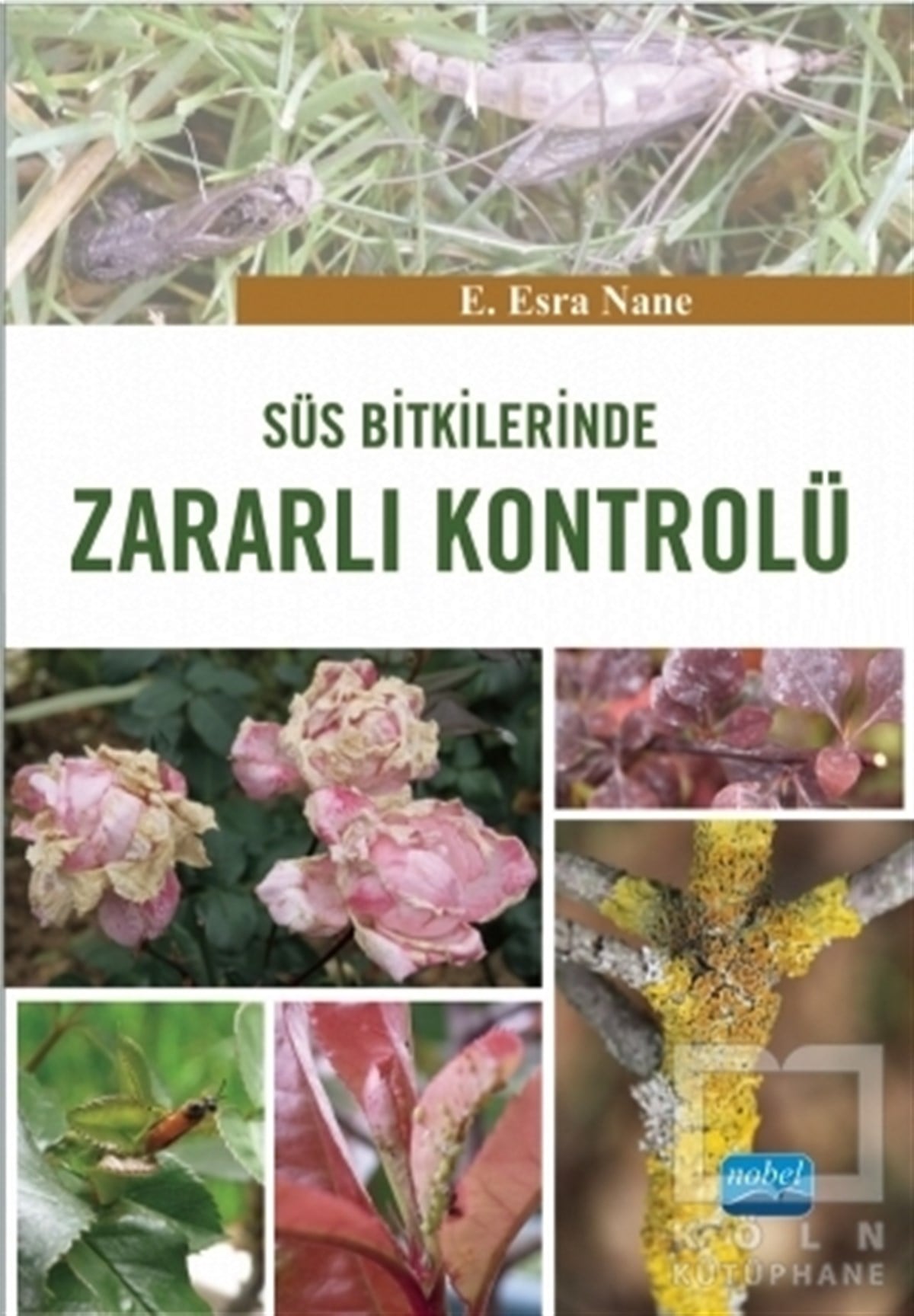 E. Esra NaneBahçe DüzenlemesiSüs Bitkilerinde Zararlı Kontrolü