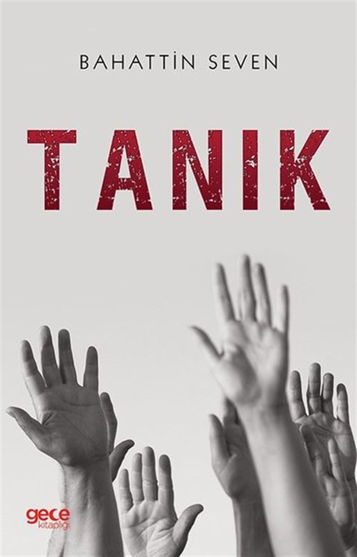 Bahattin SevenTürkiye RomanTanık