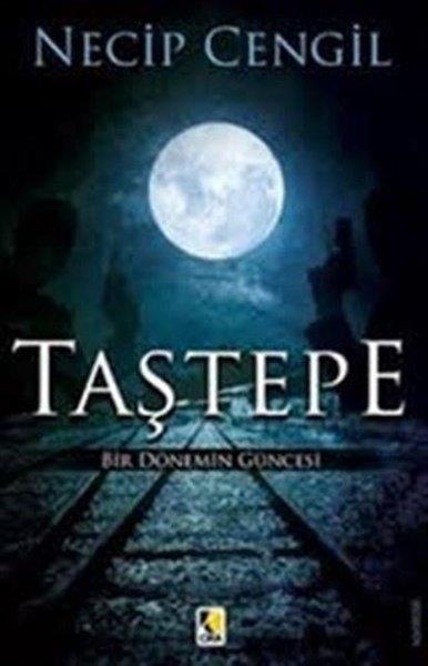 Necip CengilTürkiye RomanTaştepe - Bir Dönemin Güncesi