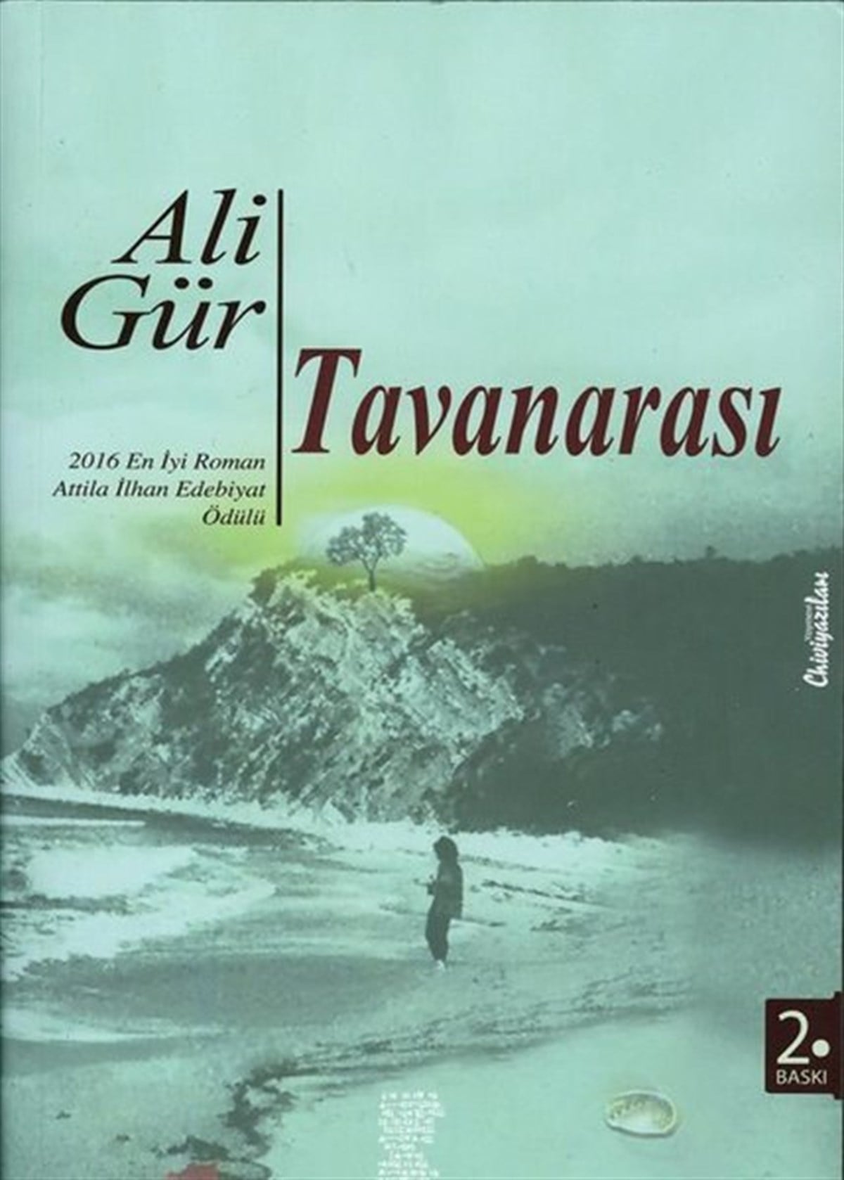 Ali GürTürkiye RomanTavanarası